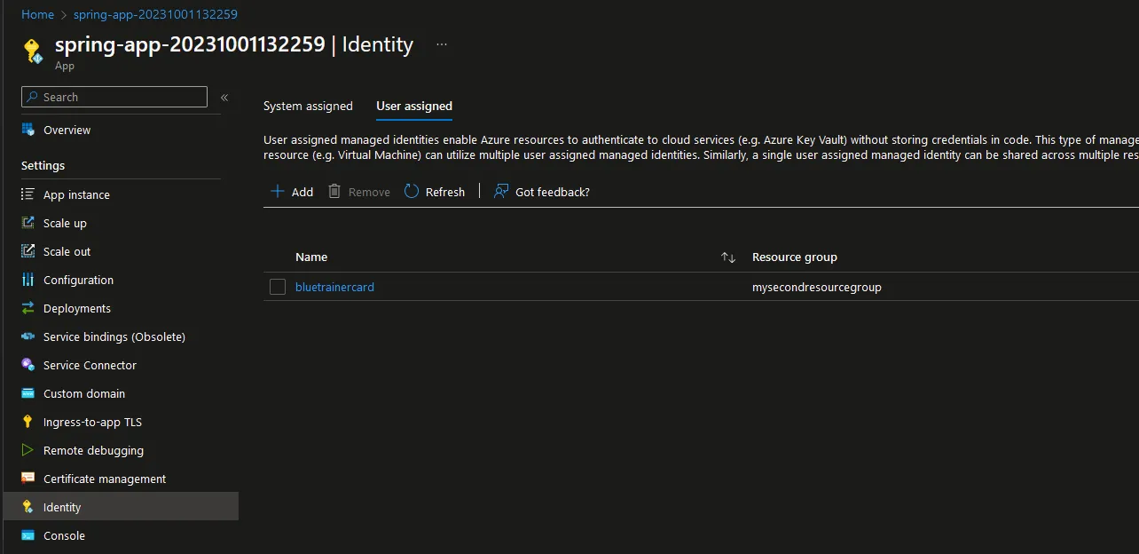 Adding our user-assigned managed identity to the Spring App instance.
