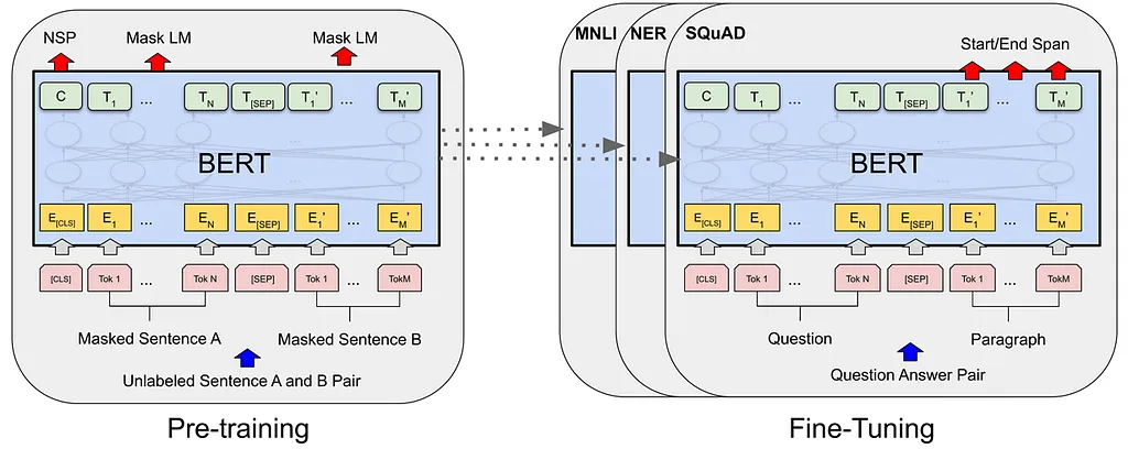 BERT’s model architecture