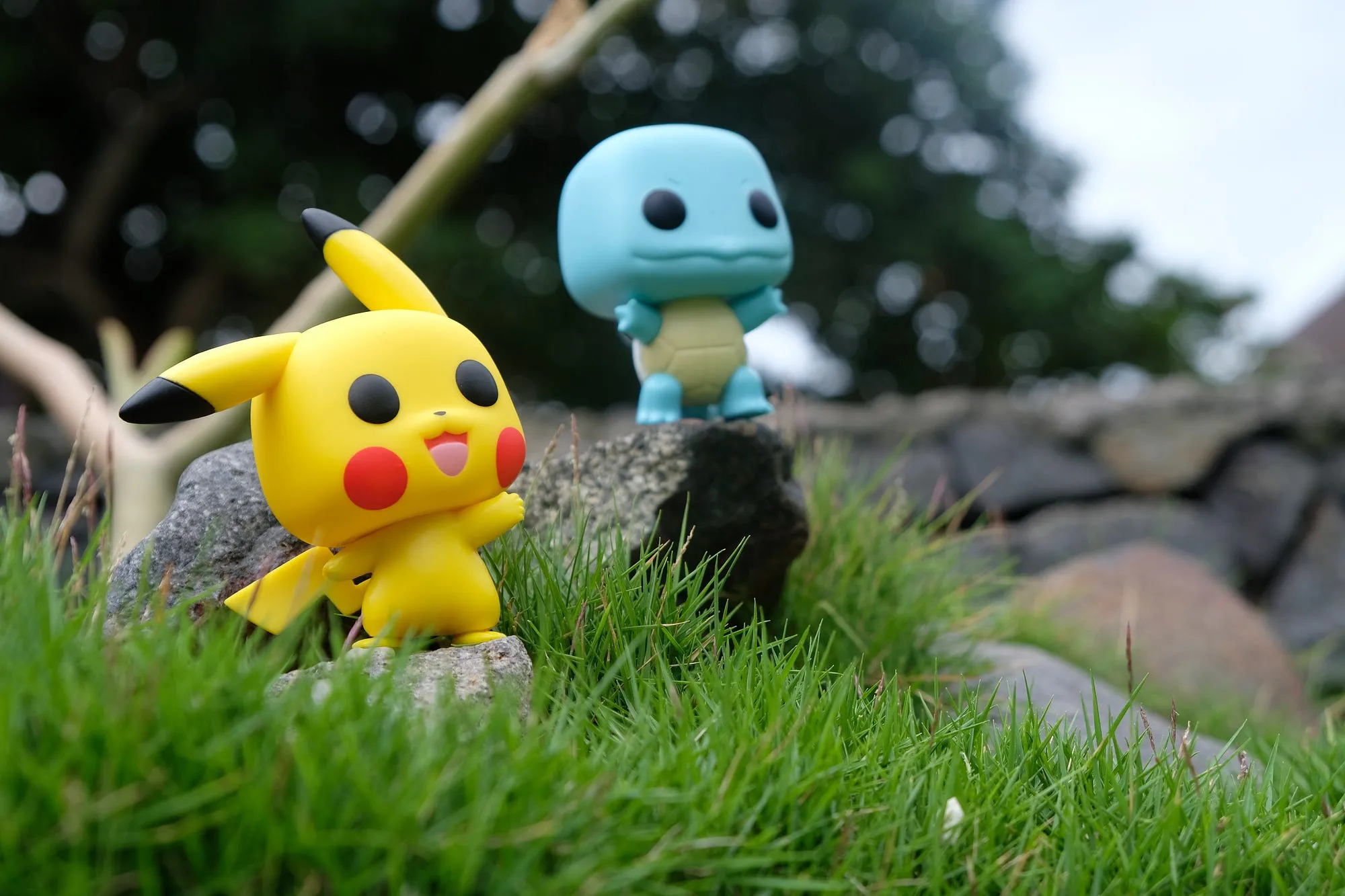 Pikachu and Squirtle Funko Pop figures standing on rocks in grass.