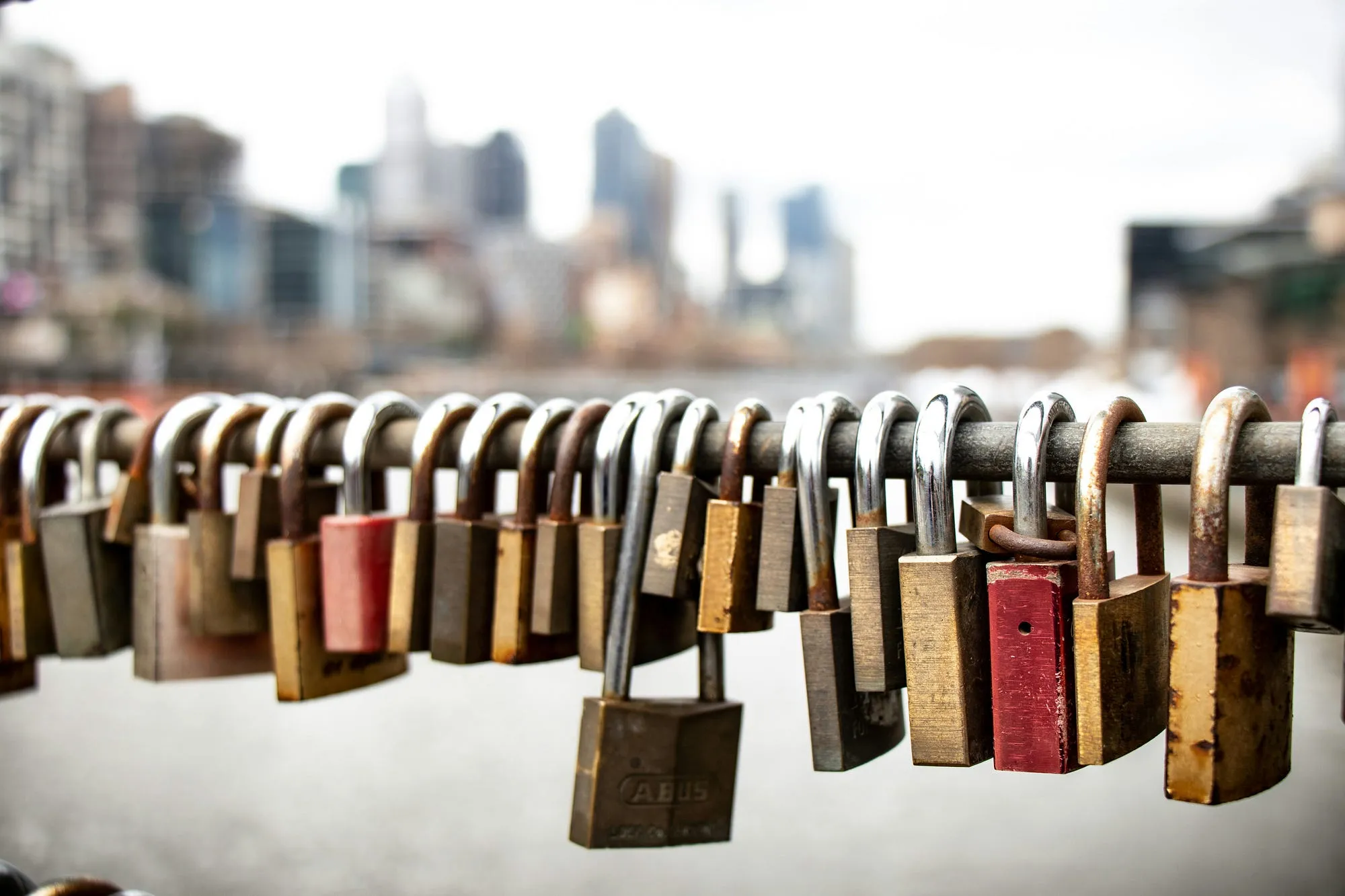 A row of brass padlocks clipped to a metal railing, with a blurred city skyline behind.